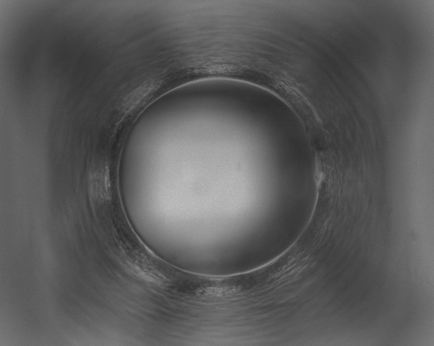 X0000054380251200508011301