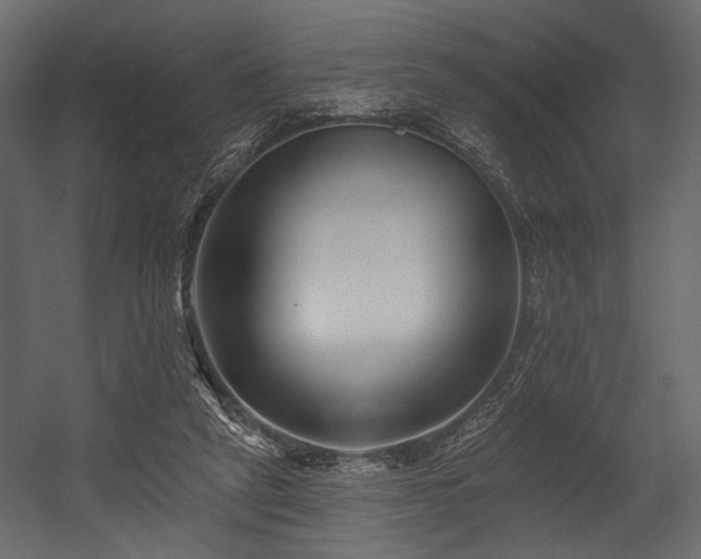 X0000054380257200508011301