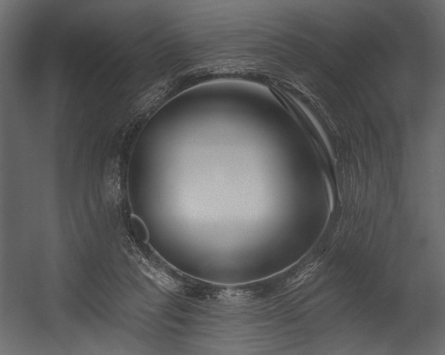 X0000054380261200508011301