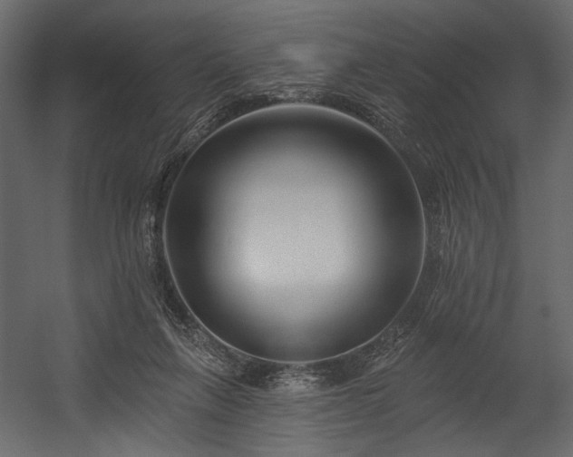 X0000054380263200508011301