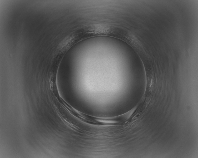 X0000054380264200508011301