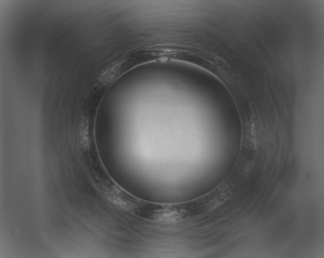 X0000054380267200508011301