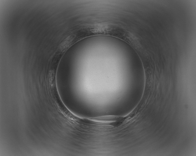 X0000054380273200508011301