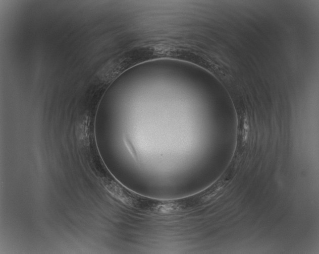 X0000054380275200508011301
