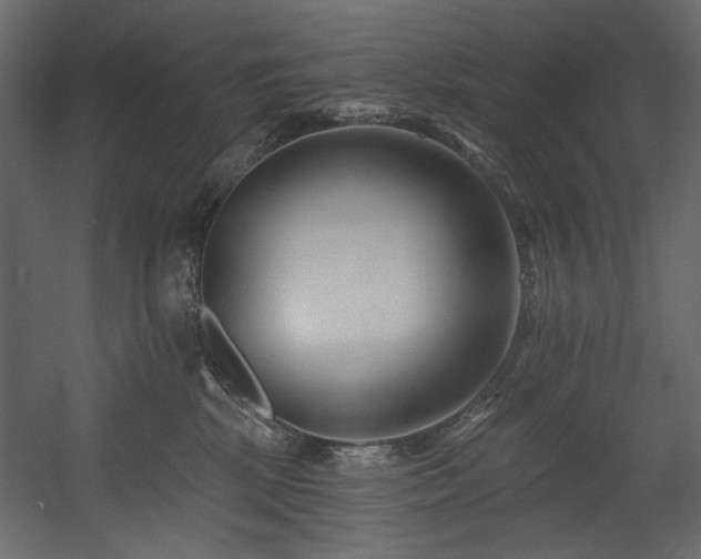 X0000054380281200508011301