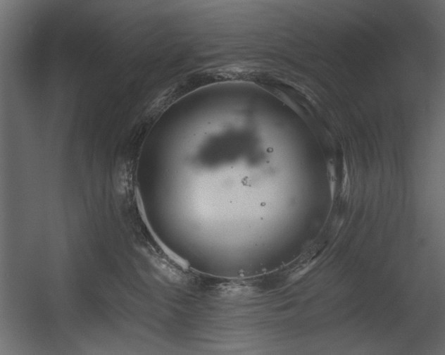 X0000054380284200508011301