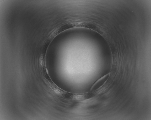 X0000054380287200508011302
