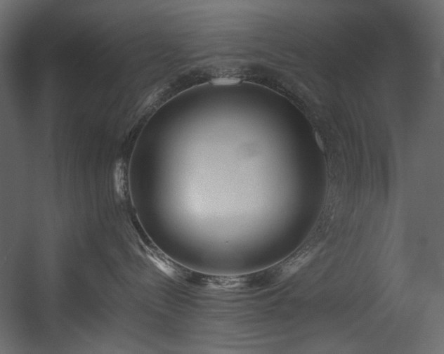 X0000054380288200508011302