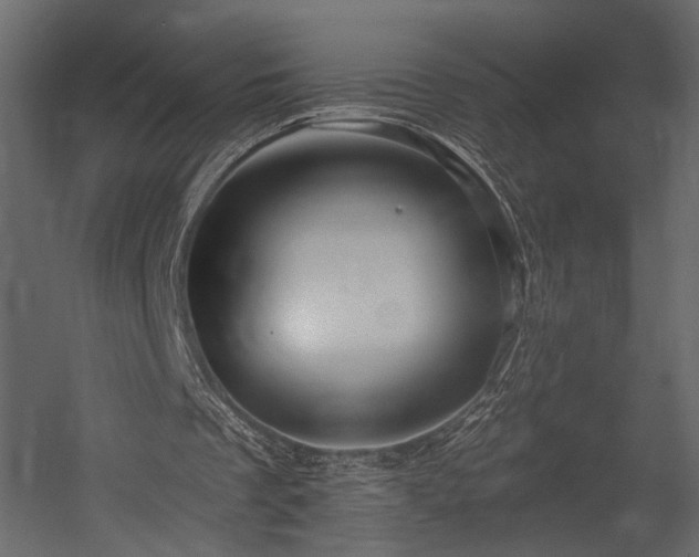 X0000054380289200508011301
