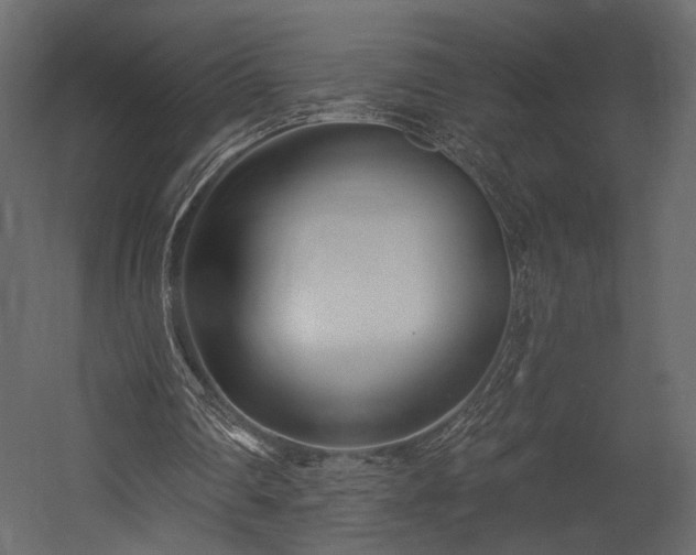 X0000054380290200508011301