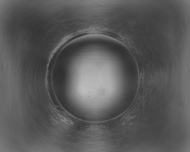 X0000054380292200508011301