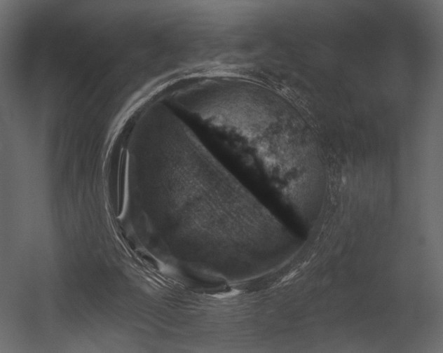 X0000054380295200508011301