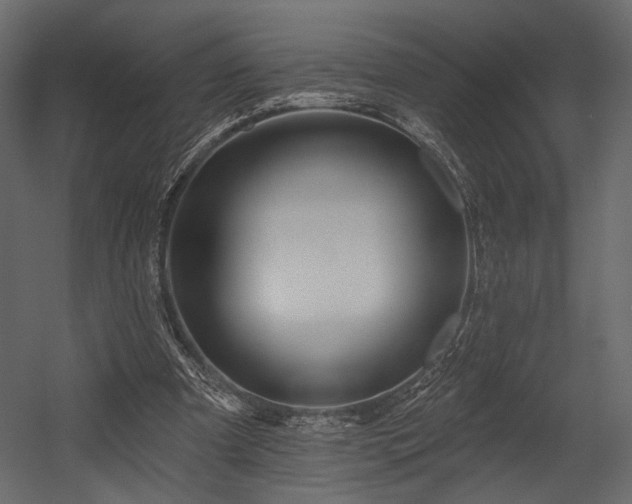 X0000054380297200508011301