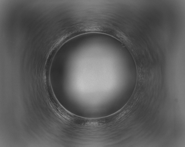 X0000054380298200508011301