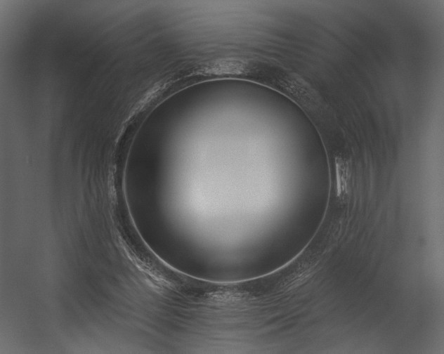 X0000054380300200508011301