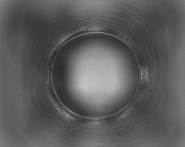 X0000054380301200508011301