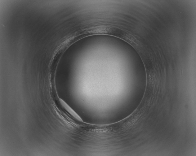 X0000054380302200508011301