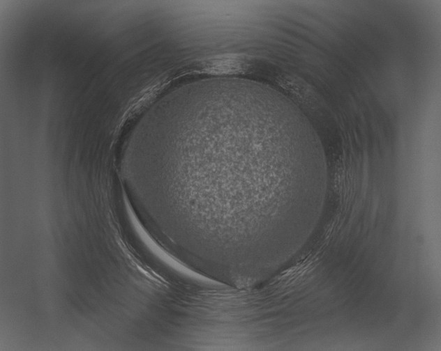 X0000054380303200508011301