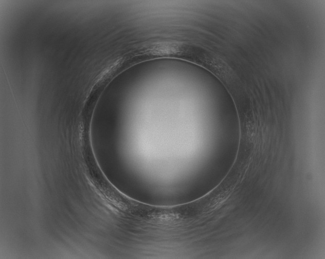X0000054380304200508011300