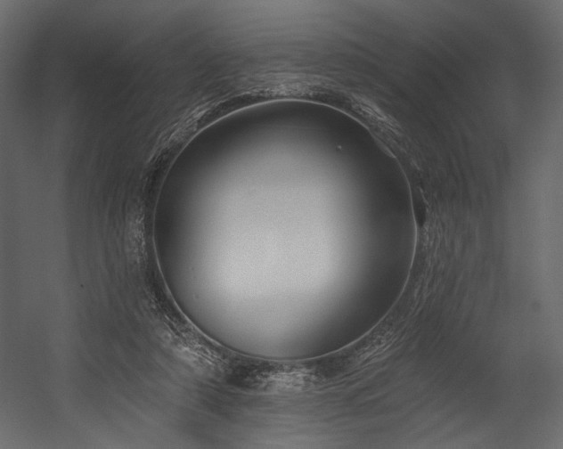 X0000054380306200508011300