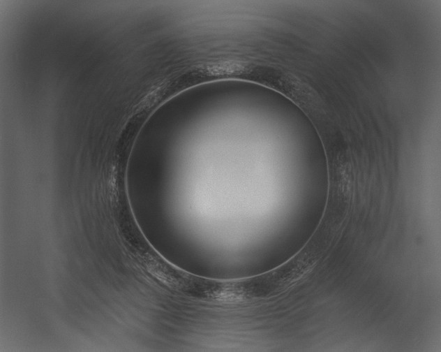 X0000054380308200508011300