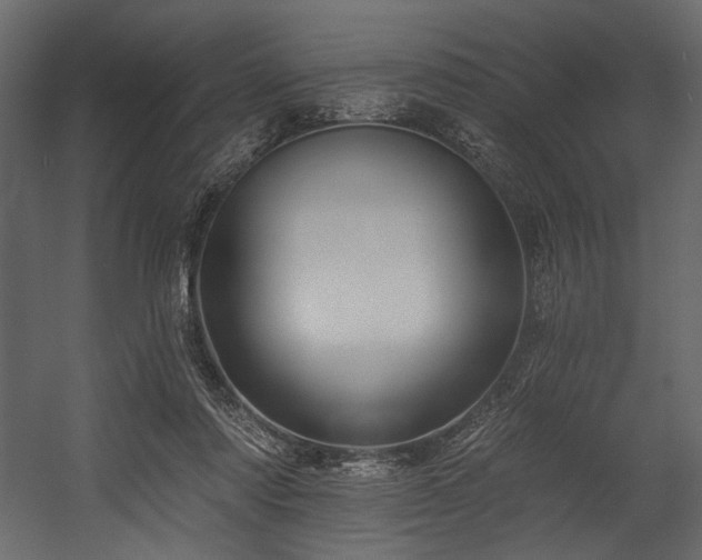X0000054380310200508011300