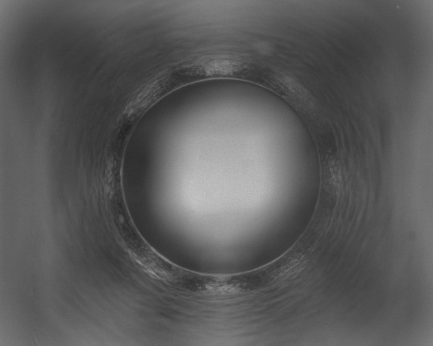 X0000054380311200508011300