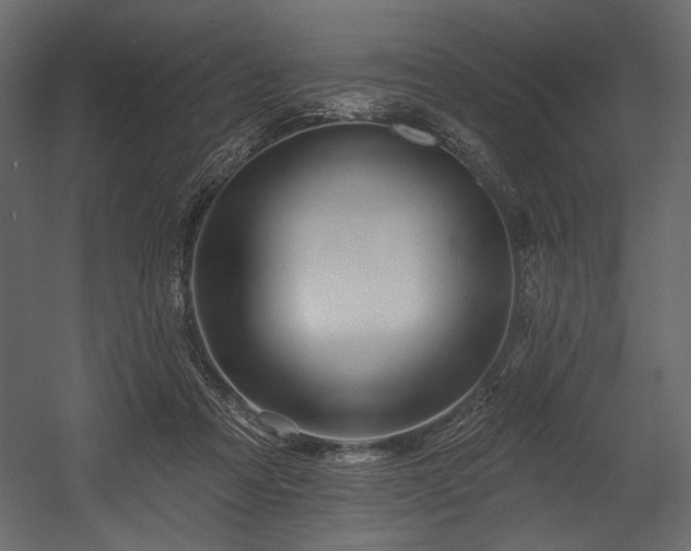 X0000054380313200508011300