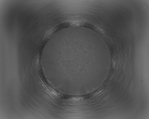 X0000054380314200508011300