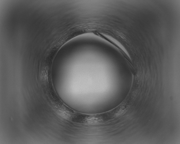 X0000054380315200508011300