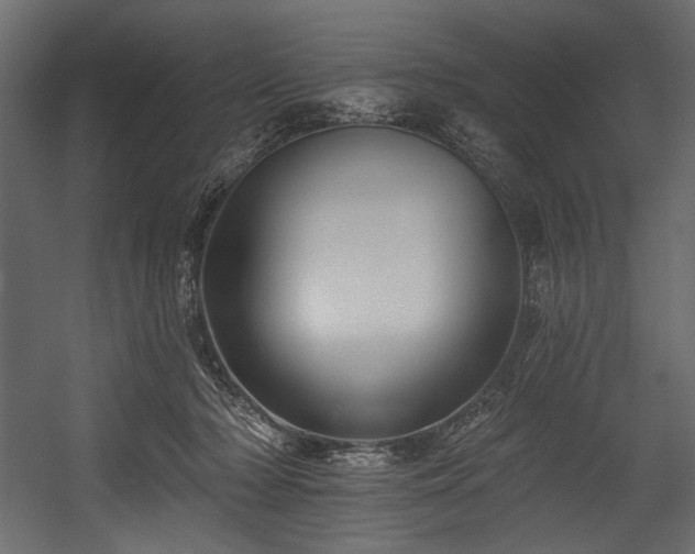 X0000054380318200508011300