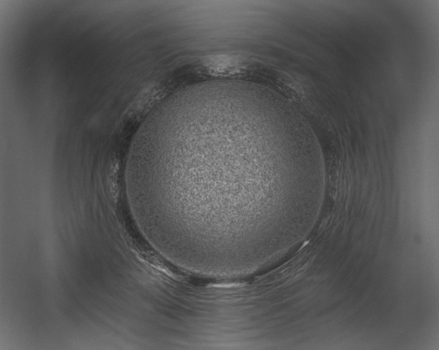 X0000054380319200508011300