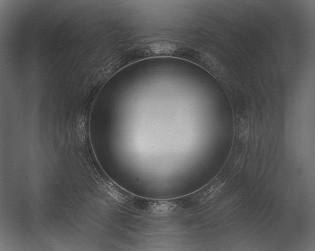 X0000054380321200508011300