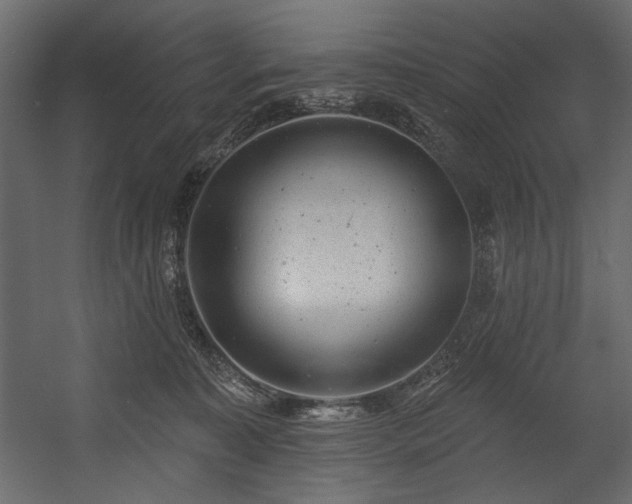 X0000054380323200508011300