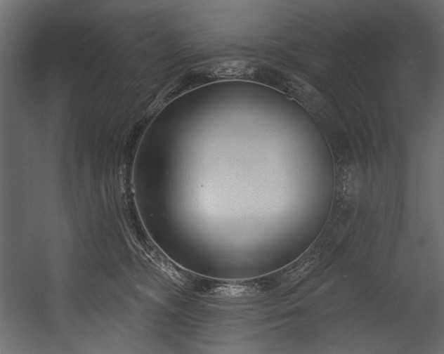 X0000054380326200508011300