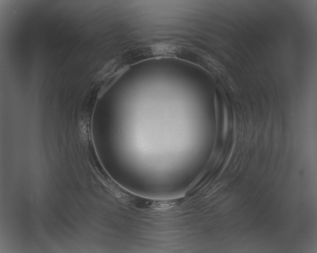 X0000054380329200508011300