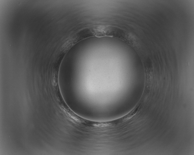 X0000054380331200508011300