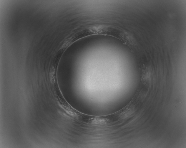 X0000054380332200508011300