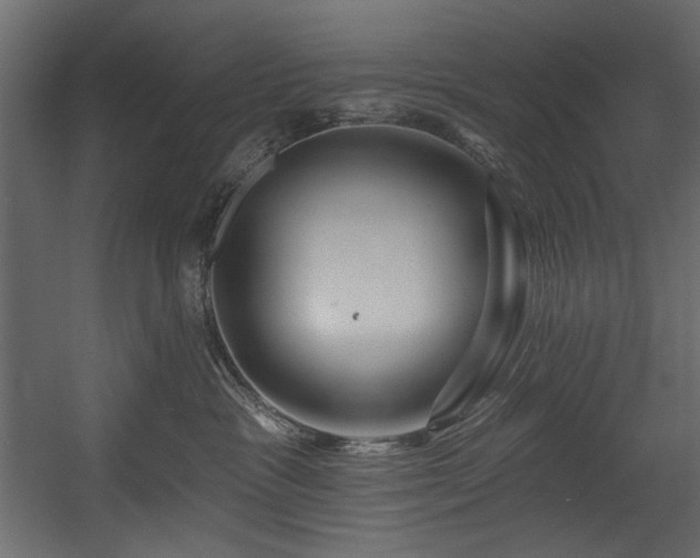 X0000054380333200508011300