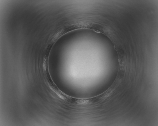 X0000054380334200508011300