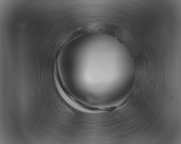 X0000054380335200508011300
