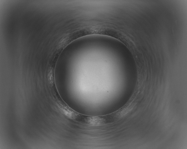 X0000054380336200508011300