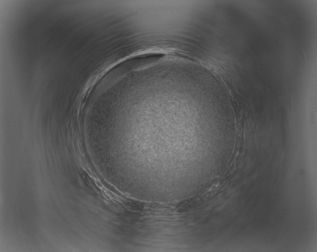 X0000054380337200508011259