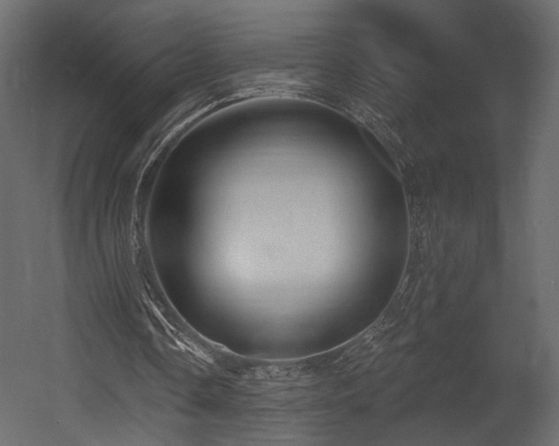 X0000054380338200508011259