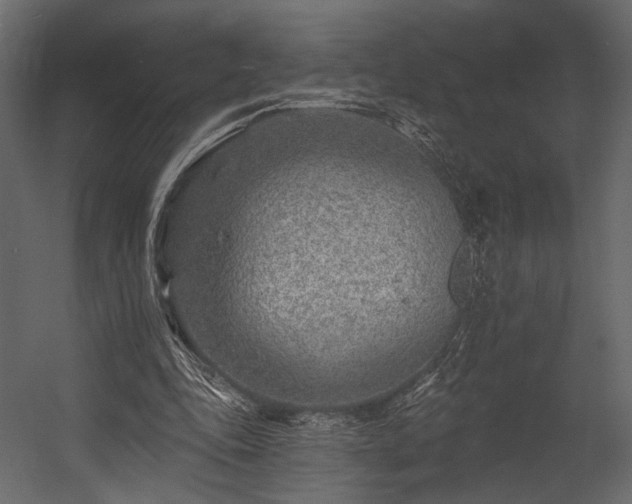 X0000054380343200508011259