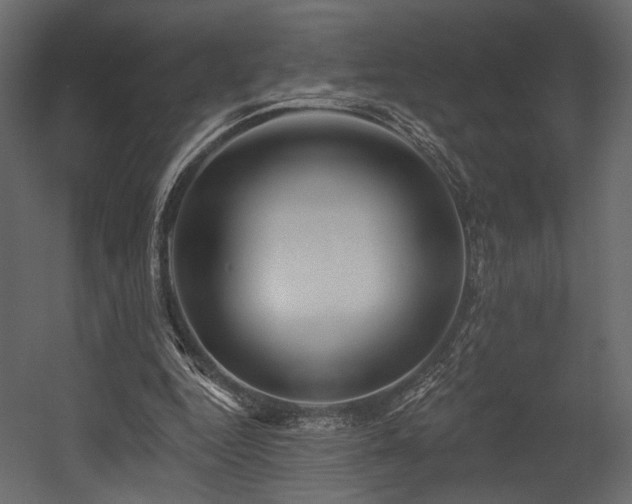 X0000054380344200508011259