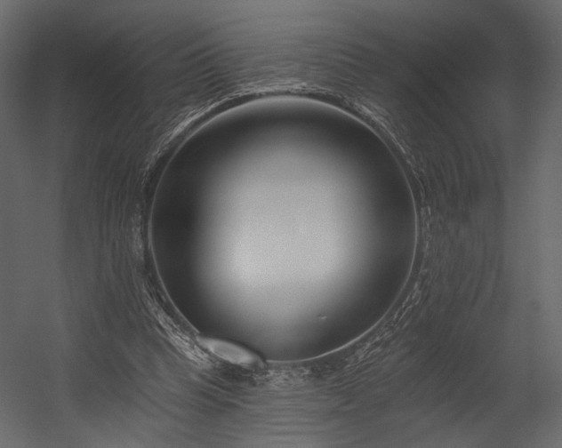 X0000054380345200508011259