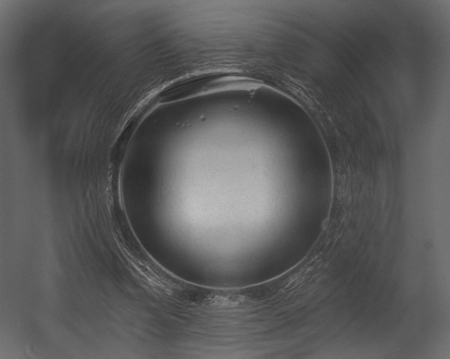 X0000054380346200508011259