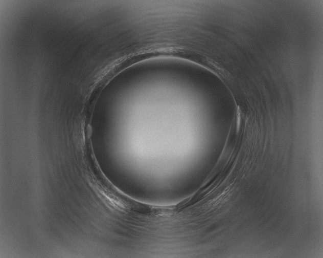 X0000054380350200508011259