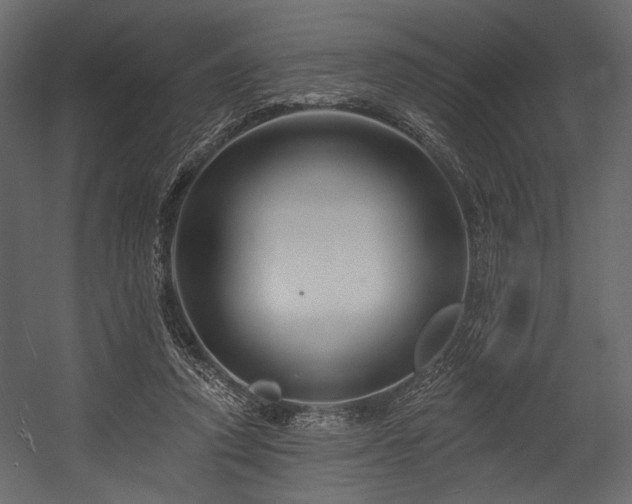 X0000054380354200508011259